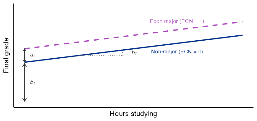 Schematic graph with Hours studying on the x-axis and Final grade on the y-axis, both unlabeled numerically, with the y-axis starting at zero. Two upward-sloping parallel lines: a solid dark-blue line for Non-major (ECN = 0) and a dashed purple line for Econ major (ECN = 1) above it. A double-headed vertical arrow near the y-axis labeled b1 spans from just above the x-axis to just below the y-intercept of the non-major line, with equal gaps at each end. A second double-headed vertical arrow slightly to the right labeled a1 shows the constant gap between the two parallel lines, with equal gaps at each end. A slope triangle on the non-major line shows a dotted horizontal run and a dotted vertical rise labeled b2, illustrating the shared slope of both lines.