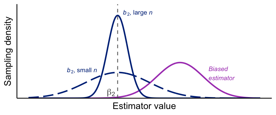 Density plot showing three bell-shaped sampling distribution curves. Two blue curves are centered at β₂, the true parameter value marked by a dashed vertical line: a wide, flat long-dashed curve for the OLS estimator at small n, and a tall, narrow solid curve for OLS at large n, illustrating that OLS is unbiased at all sample sizes and consistent as n increases. A purple curve centered to the right of β₂ represents a biased estimator whose distribution does not converge to the true value. The horizontal axis shows the estimator value and the vertical axis shows sampling density.