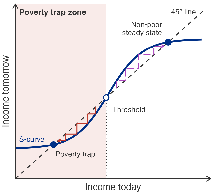 A schematic diagram with no numerical values. The horizontal axis is income today and the vertical axis is income tomorrow. A dashed diagonal line labelled the 45 degree line marks where income tomorrow equals income today. A solid S-shaped curve starts above the diagonal at the left, flat and low, rises steeply through the middle, and levels off high at the right, crossing the diagonal three times. The lowest crossing is a filled point labelled poverty trap. The middle crossing is a hollow point labelled threshold, with a dotted line dropping from it to the horizontal axis. The highest crossing is a filled point labelled non-poor steady state. Everything left of the threshold is shaded and labelled poverty trap zone. Two staircase paths show how income evolves year to year. A solid red staircase starts just below the threshold and steps down between the curve and the diagonal, ending in an arrow at the poverty trap. A dashed purple staircase starts just above the threshold and steps up between the diagonal and the curve, ending in an arrow at the non-poor steady state. The figure conveys that two households starting at nearly the same income can end up far apart: one below the threshold slides into chronic poverty, while one above it climbs out.