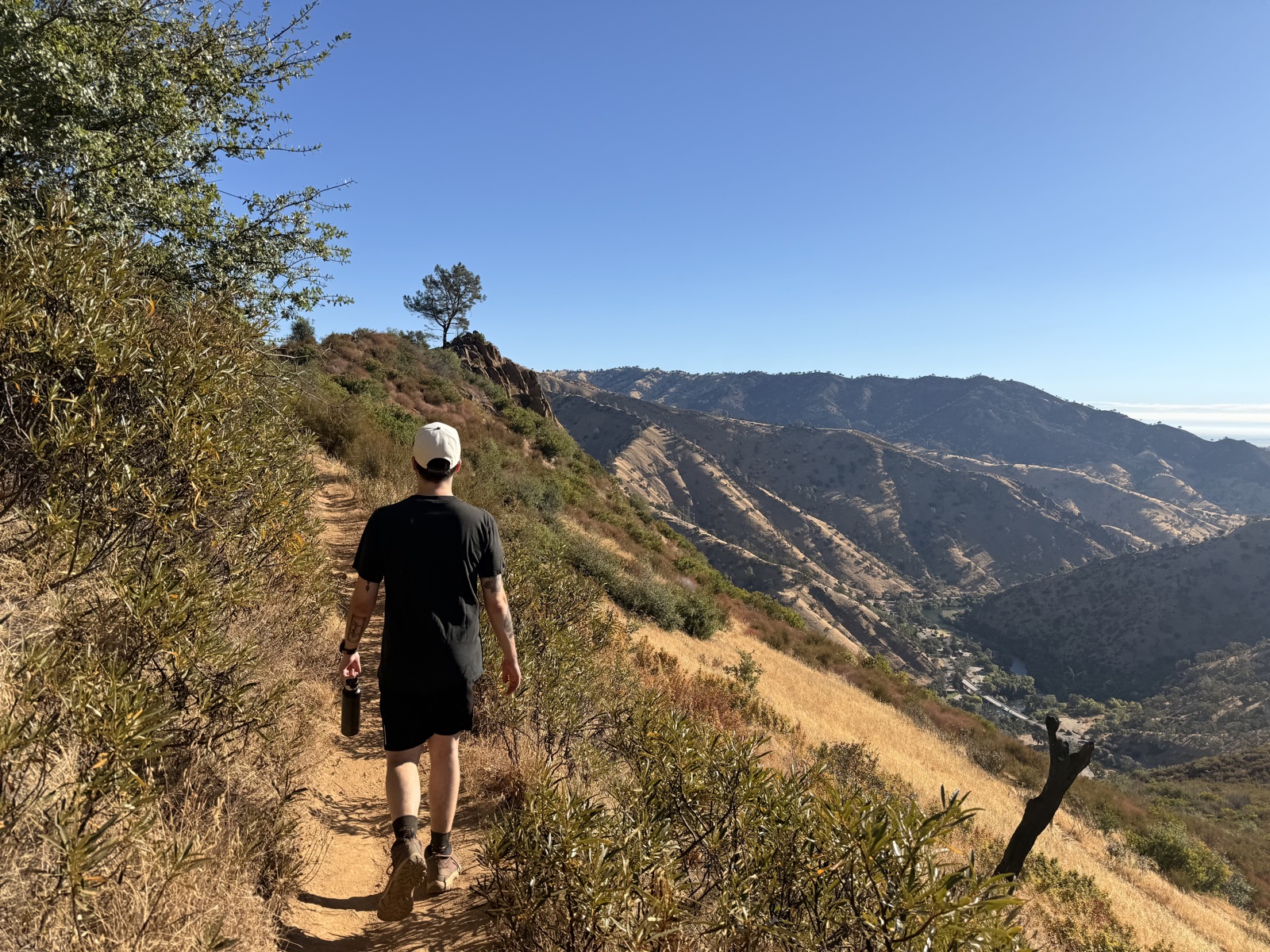 A photo taken of Remy Beauregard hiking on the Blue Ridge trail above Lake Berryessa in Central Valley, California.
